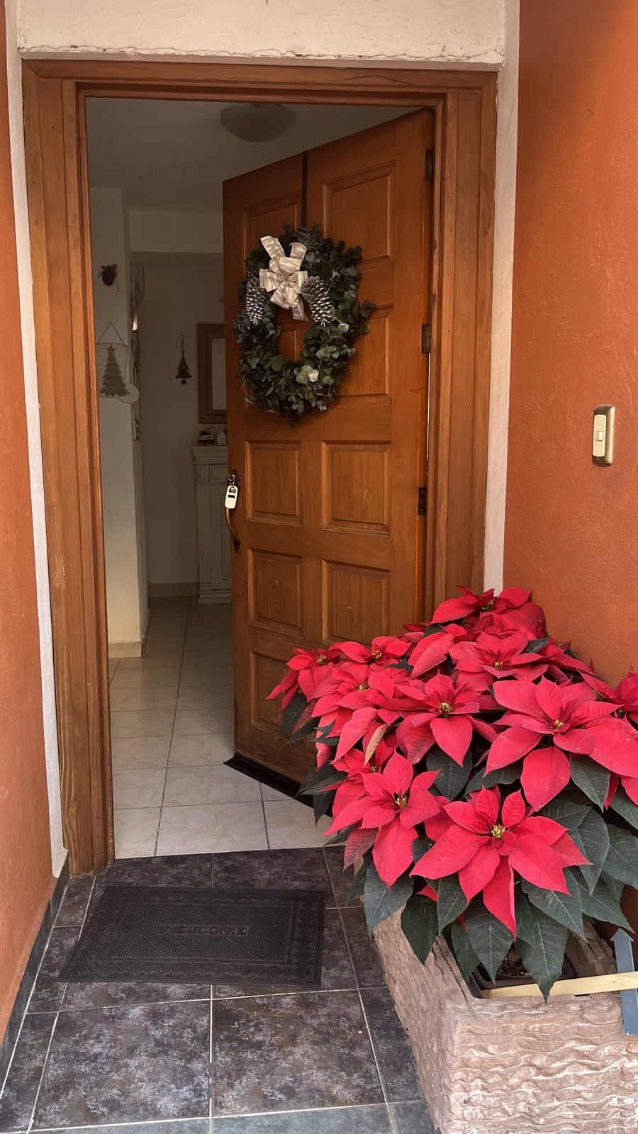 Nochebuena roja grande en la entrada de una casa, junto a una puerta con corona